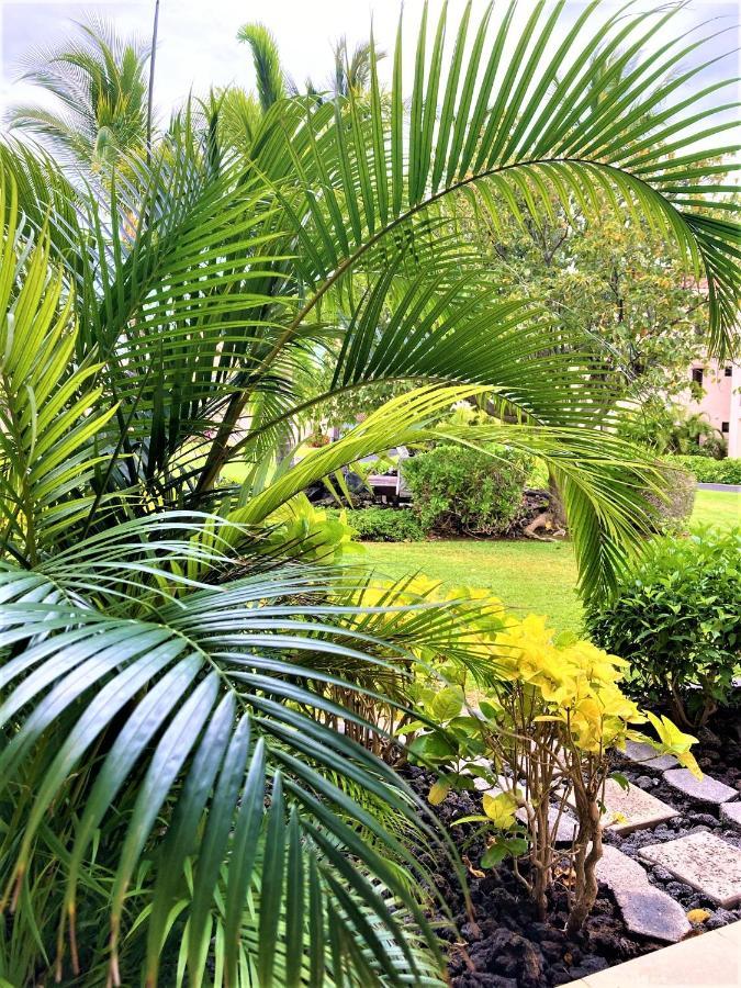 Coconut At Shores - Waikoloa Beach Resort Exterior foto